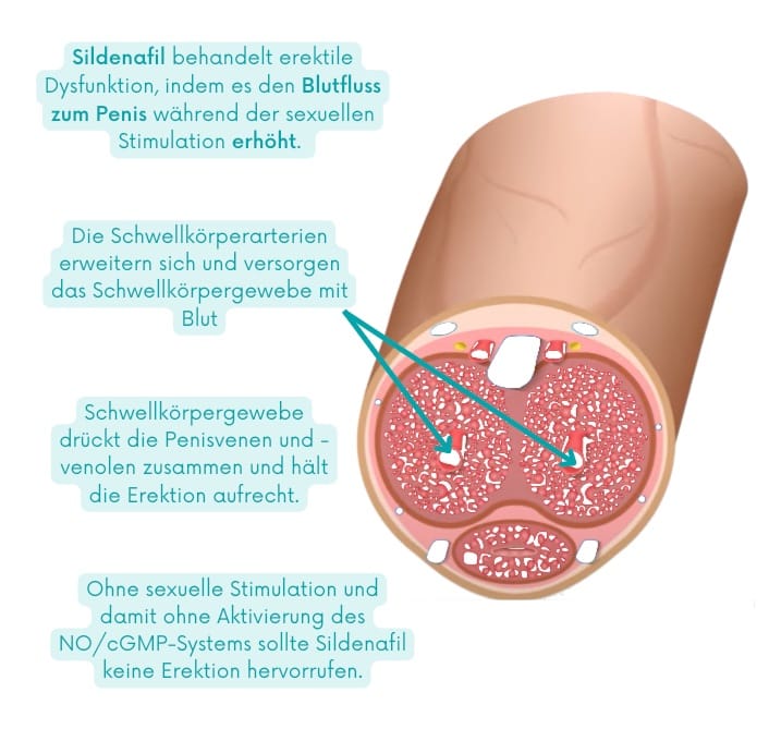 sildenafil wirkung